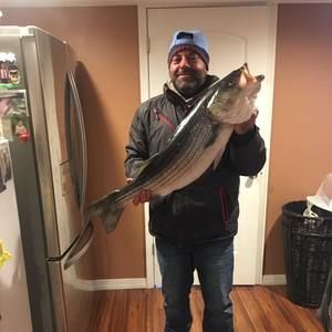 Meet your Posher, Helder